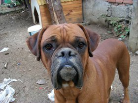 09-0627-SAMSUN (27).JPG